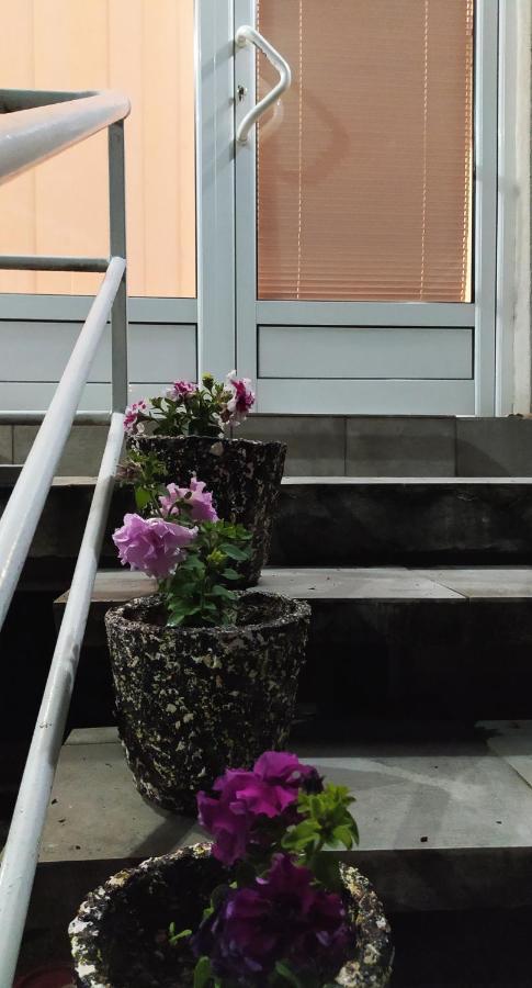 Apartman Todorovic Jagodina Zewnętrze zdjęcie